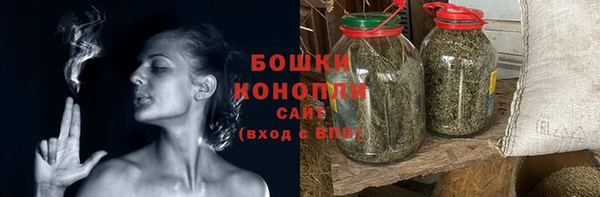 сатива Надым