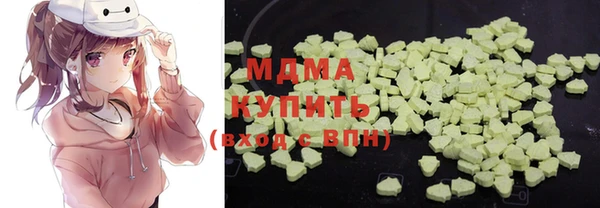 индика Алексин