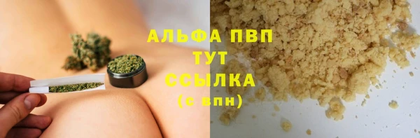 индика Алексин