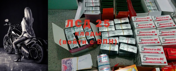 индика Алексин