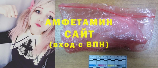 индика Алексин