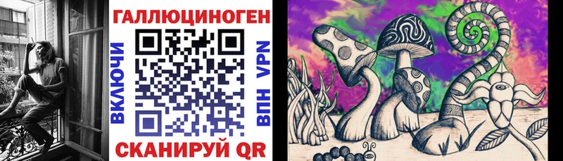 как найти закладки  это какой сайт  Псилоцибиновые грибы мухоморы  Мещовск 